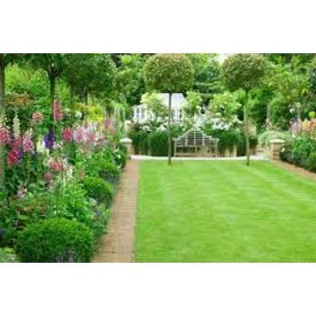 Natural Grass